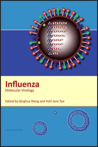 Cover image for Influenza: Molecular Virology