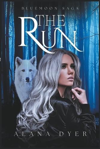 Cover image for The Run