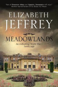 Cover image for Meadowlands