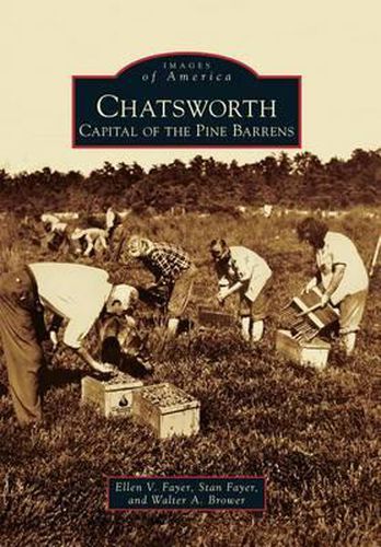 Cover image for Chatsworth: Capital of the Pine Barrens