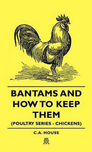 Cover image for Bantams and How to Keep Them (Poultry Series - Chickens)