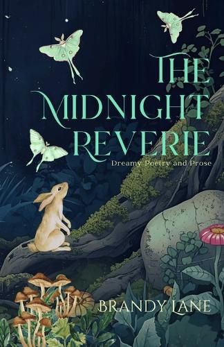Cover image for The Midnight Reverie