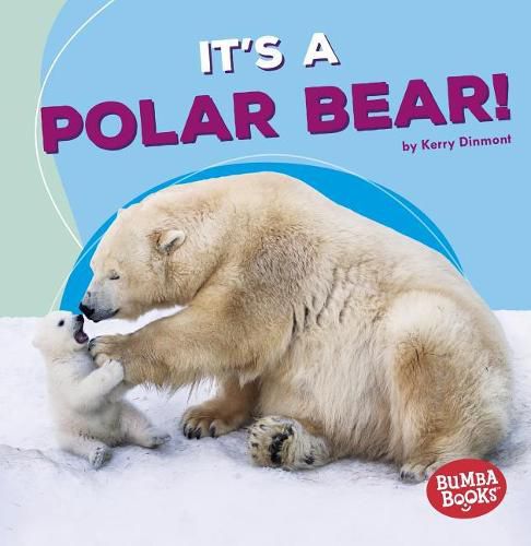 Cover image for It's a Polar Bear!