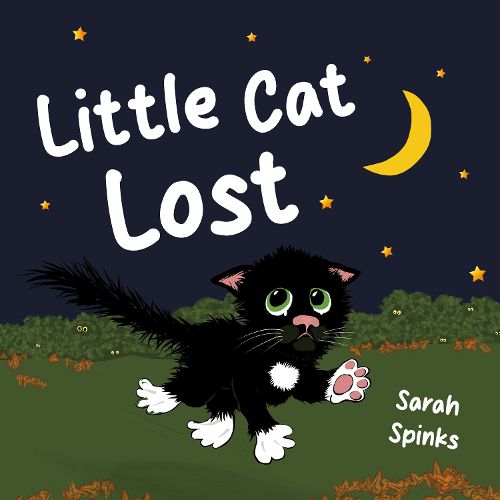 Cover image for Little Cat Lost
