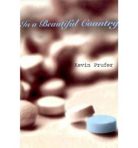 Cover image for In a Beautiful Country