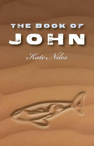 Cover image for Book of John, The