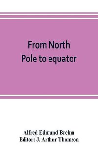 Cover image for From North Pole to equator: studies of wild life and scenes in many lands