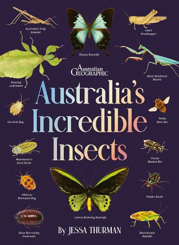 Cover image for Australia's Incredible Insects
