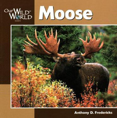 Cover image for Moose