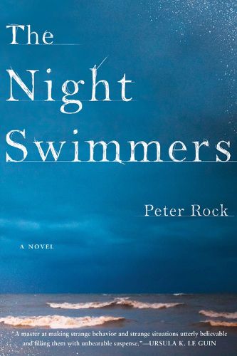 Cover image for The Night Swimmers