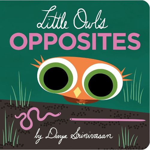 Cover image for Little Owl's Opposites