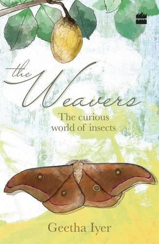 Cover image for The Weavers: The Curious World of Insects