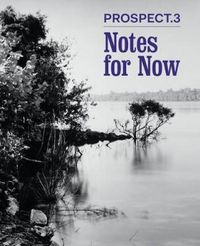 Cover image for Prospect 3: Notes for Now