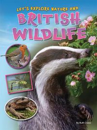 Cover image for Let's Explore Nature and British Wildlife