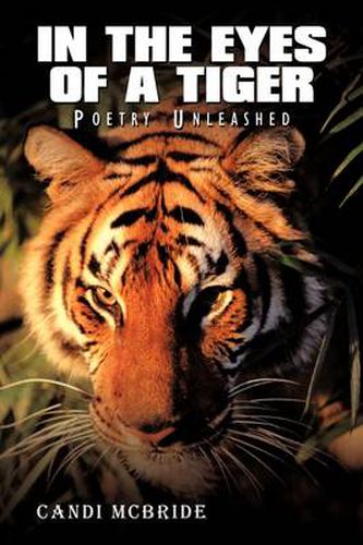 Cover image for In the Eyes of a Tiger