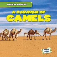 Cover image for A Caravan of Camels