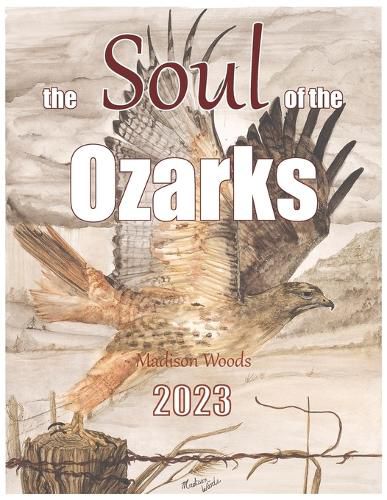 Cover image for The Soul of the Ozarks