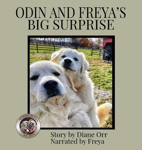 Cover image for Odin and Freya's Big Surprise