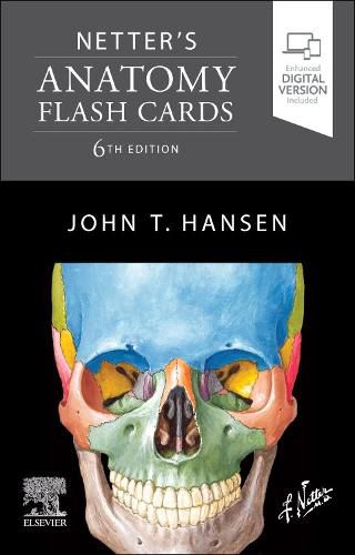 Cover image for Netter's Anatomy Flash Cards