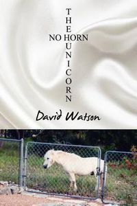 Cover image for The No Horn Unicorn