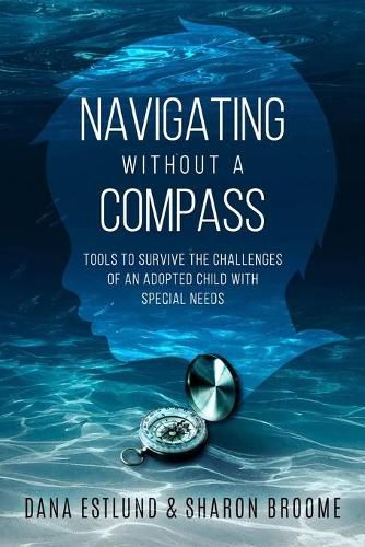 Cover image for Navigating Without a Compass: Tools to Survive the Challenges of an Adopted Child with Special Needs