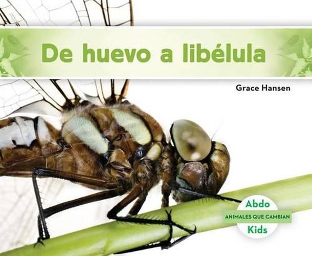 Cover image for De Huevo a LibeLula/ Becoming a Dragonfly