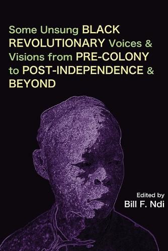 Cover image for Some Unsung Black Revolutionary Voices and Visions from Pre-Colony to Post-Independence and Beyond