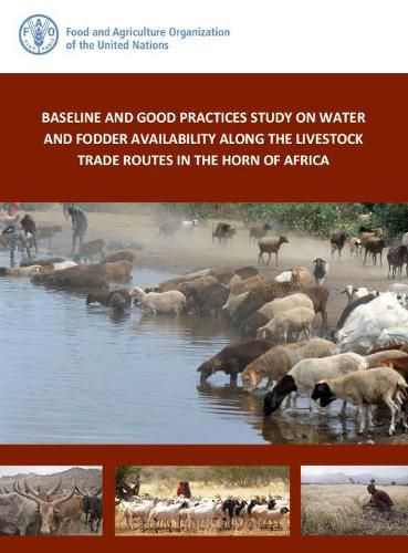 Cover image for Baseline and good practices study on water and fodder availability along the livestock trade routes in the Horn of Africa