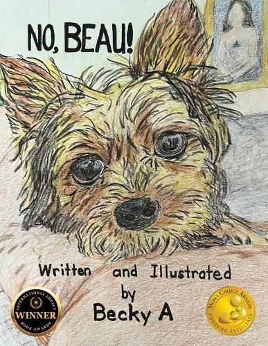 Cover image for No, Beau!