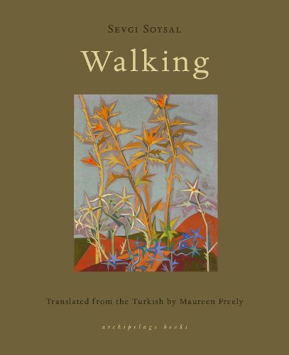 Cover image for Walking