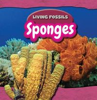 Cover image for Sponges