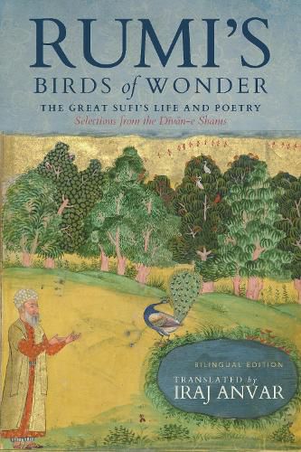 Cover image for Rumi's Birds of Wonder