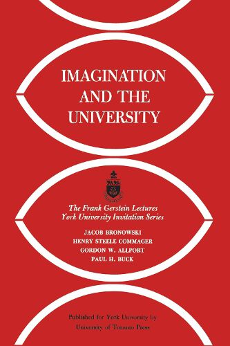 Cover image for Imagination and the University