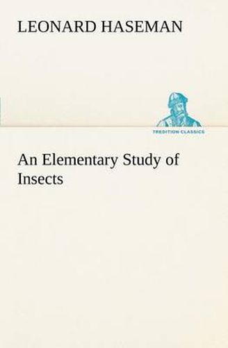 Cover image for An Elementary Study of Insects