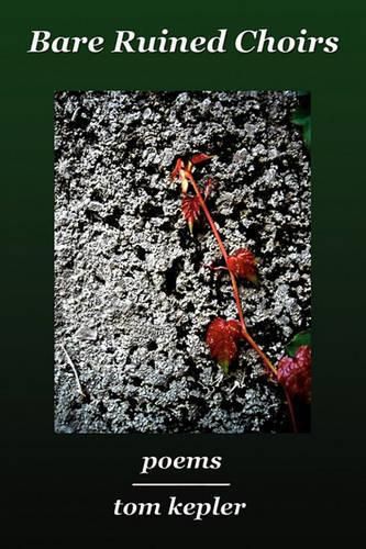 Cover image for Bare Ruined Choirs