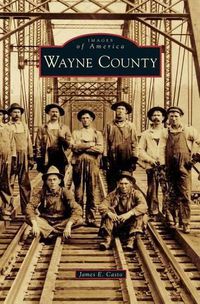 Cover image for Wayne County