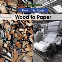 Cover image for Wood to Paper