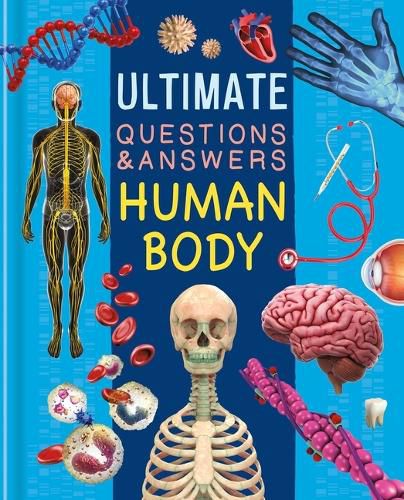 Cover image for Ultimate Questions & Answers Human Body