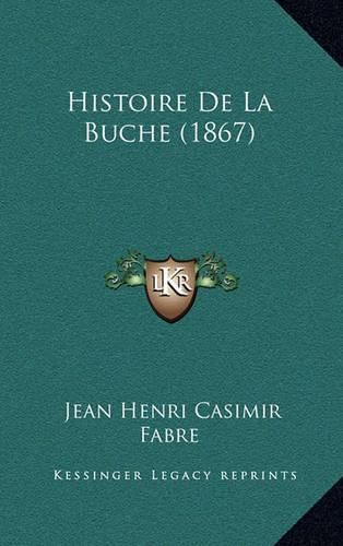 Histoire de La Buche (1867)