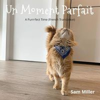 Cover image for Un Moment Parfait