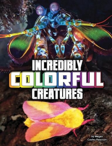 Incredibly Colorful Creatures