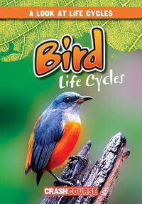 Cover image for Bird Life Cycles