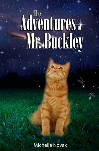 Cover image for The Adventures of Mr. Buckley