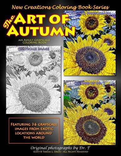 Cover image for New Creations Coloring Book Series