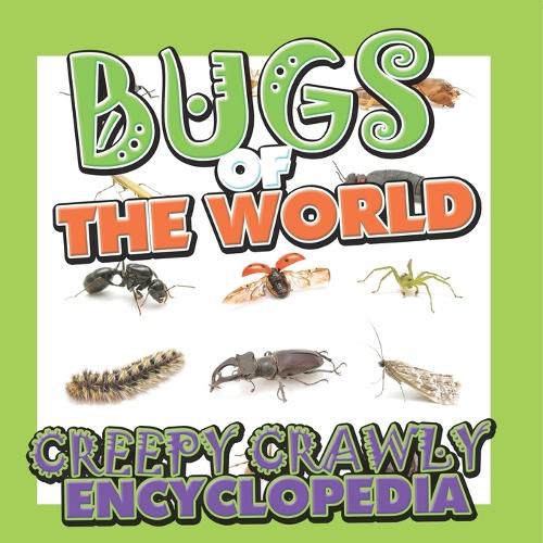 Cover image for Bugs of the World (Creepy Crawly Encyclopedia)