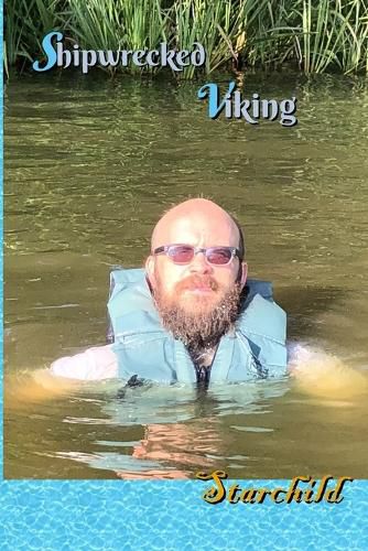 Cover image for Shipwrecked Viking