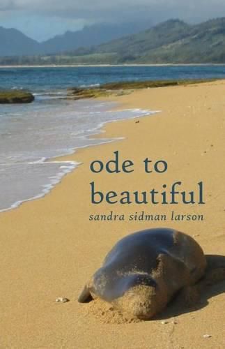 Cover image for Ode to Beautiful