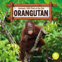 Cover image for Orangutan