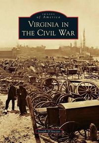 Cover image for Virginia in the Civil War