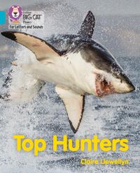 Cover image for Top Hunters: Band 07/Turquoise